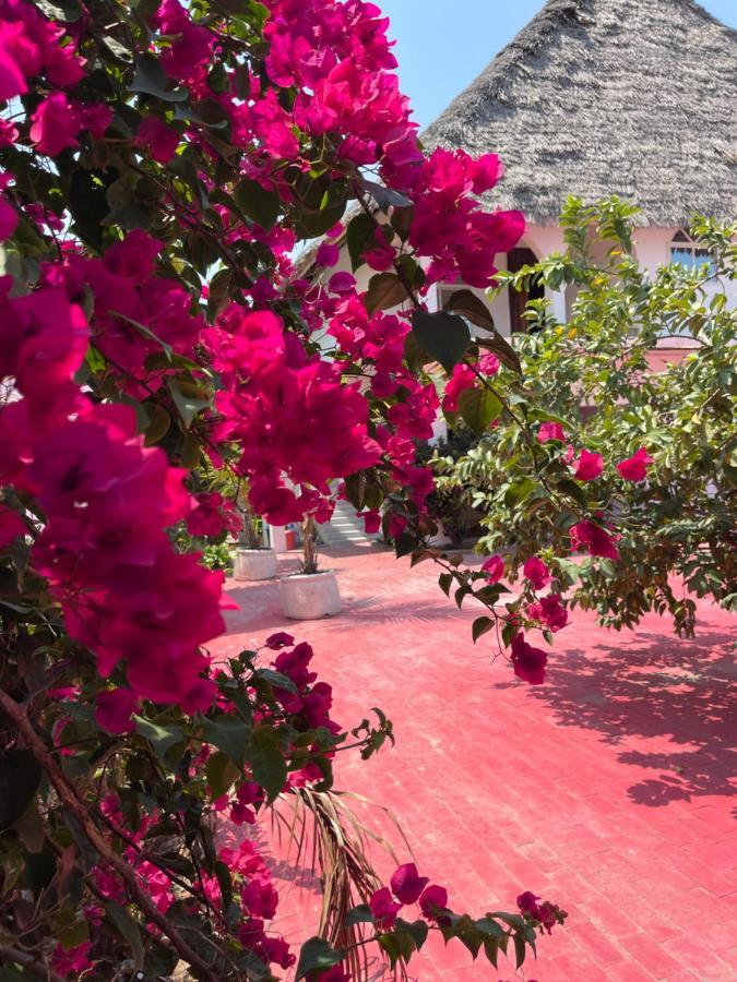 Villa Euphoria - Adults Only Паже Екстериор снимка