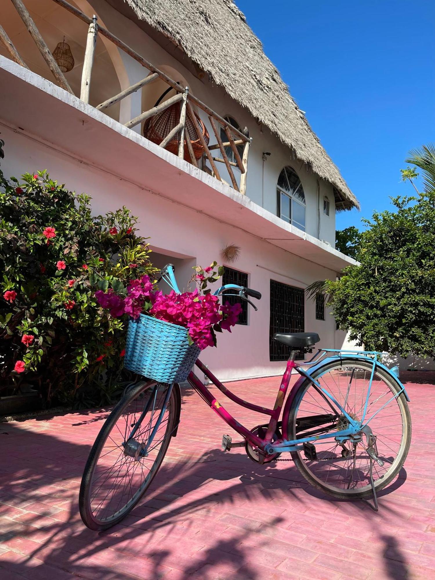 Villa Euphoria - Adults Only Паже Екстериор снимка